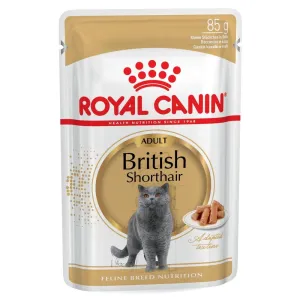 $11 OFF: Royal Canin British Shorthair Adult Pouch Cat Food 85g x 12