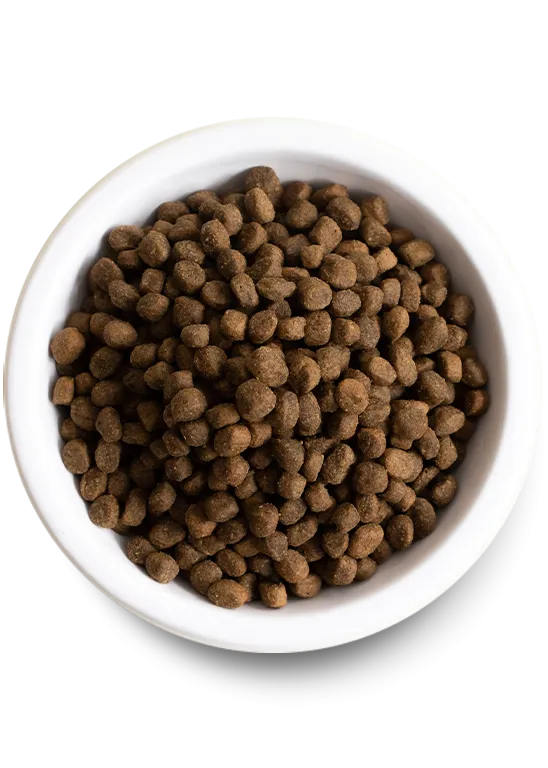 Ancient Grains High-Protein Puppy Food