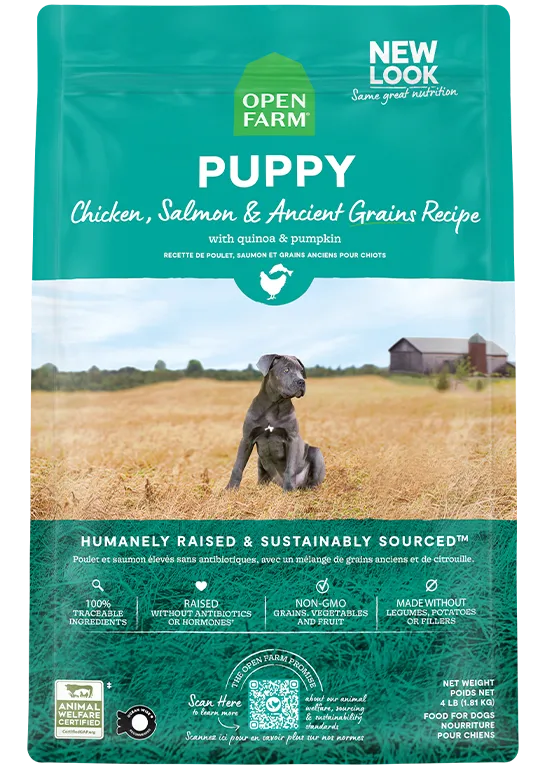 Ancient Grains High-Protein Puppy Food