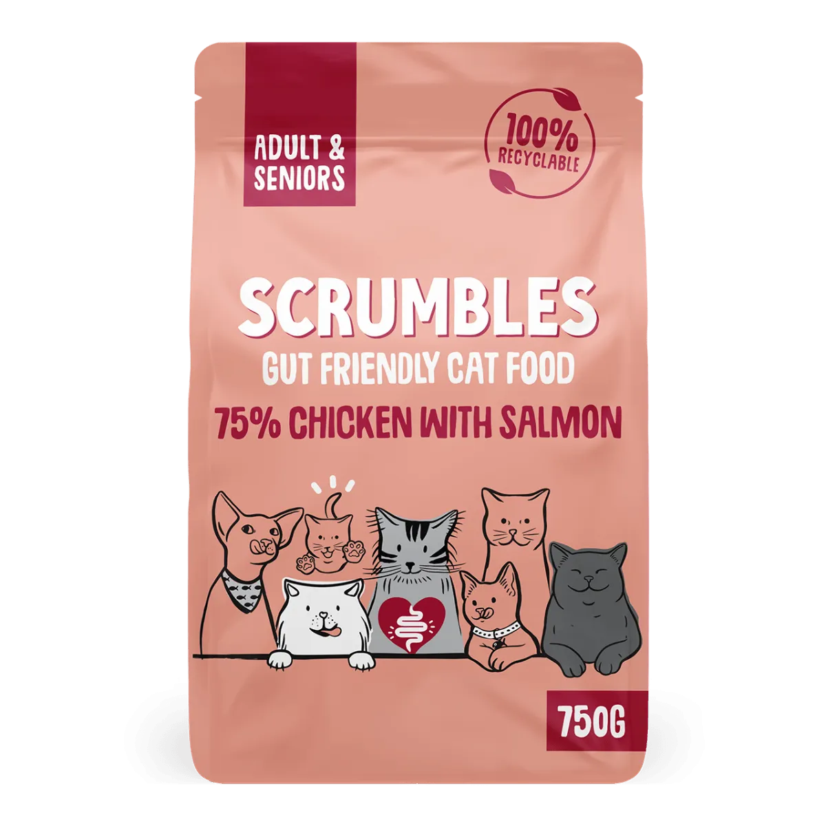 Chicken & Salmon Dry Cat Food