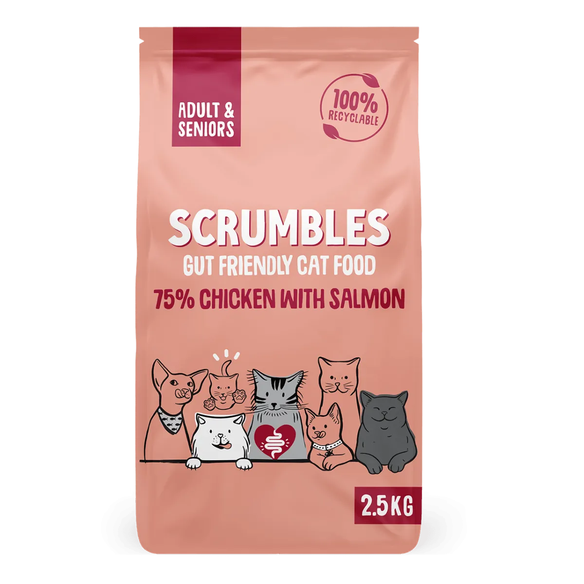 Chicken & Salmon Dry Cat Food