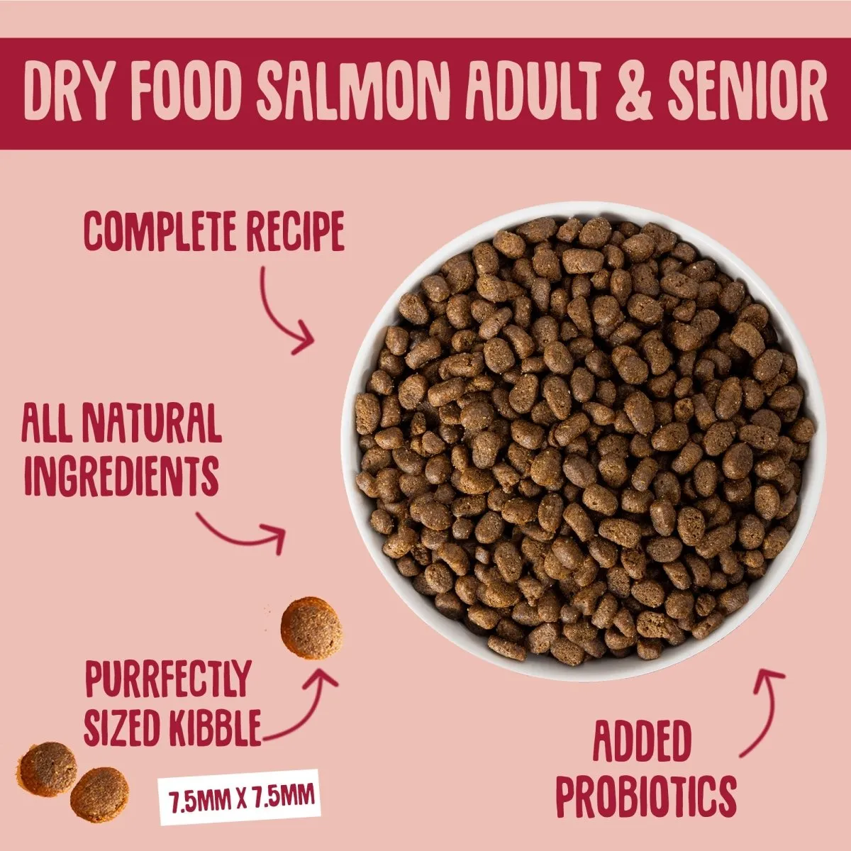 Chicken & Salmon Dry Cat Food