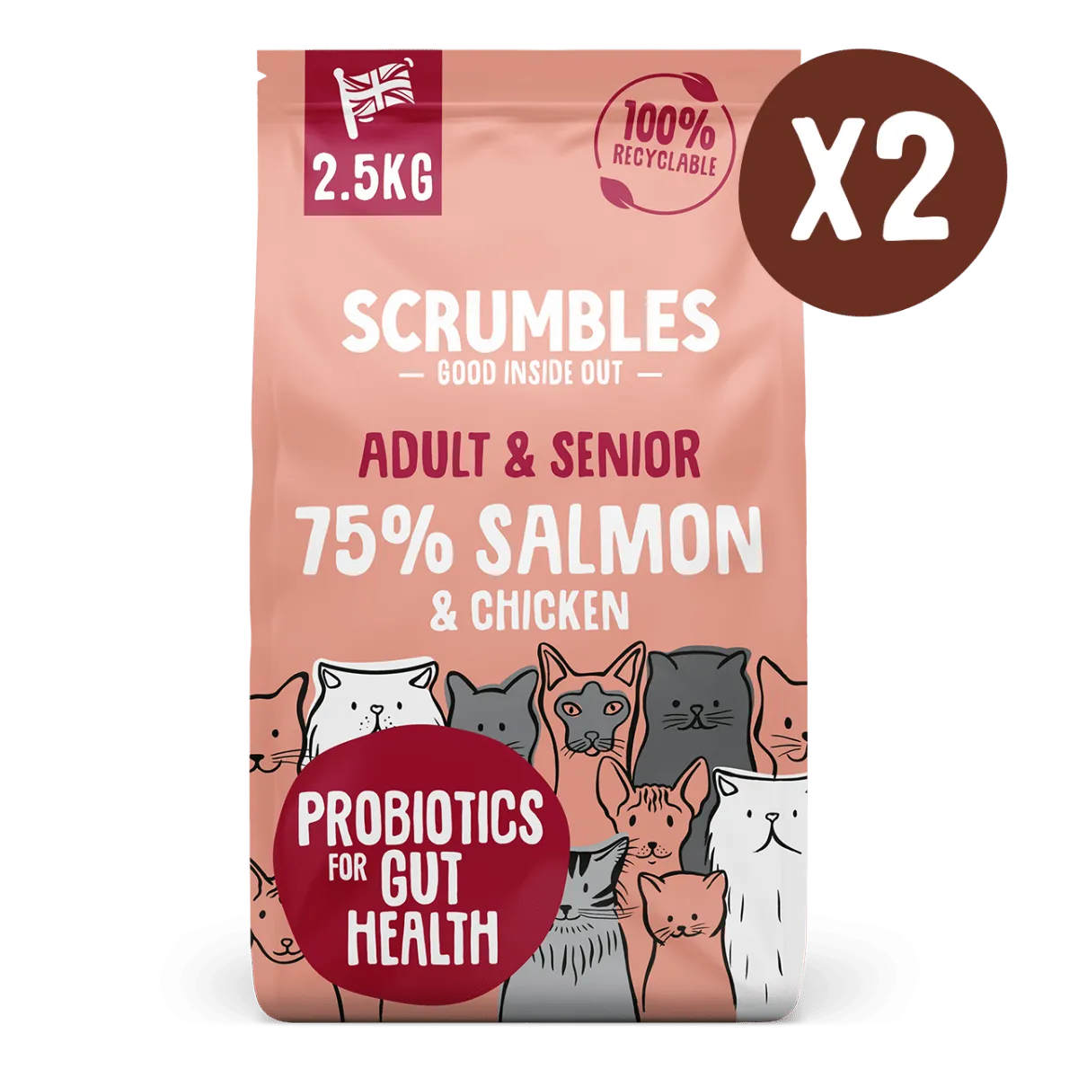 Chicken & Salmon Dry Cat Food