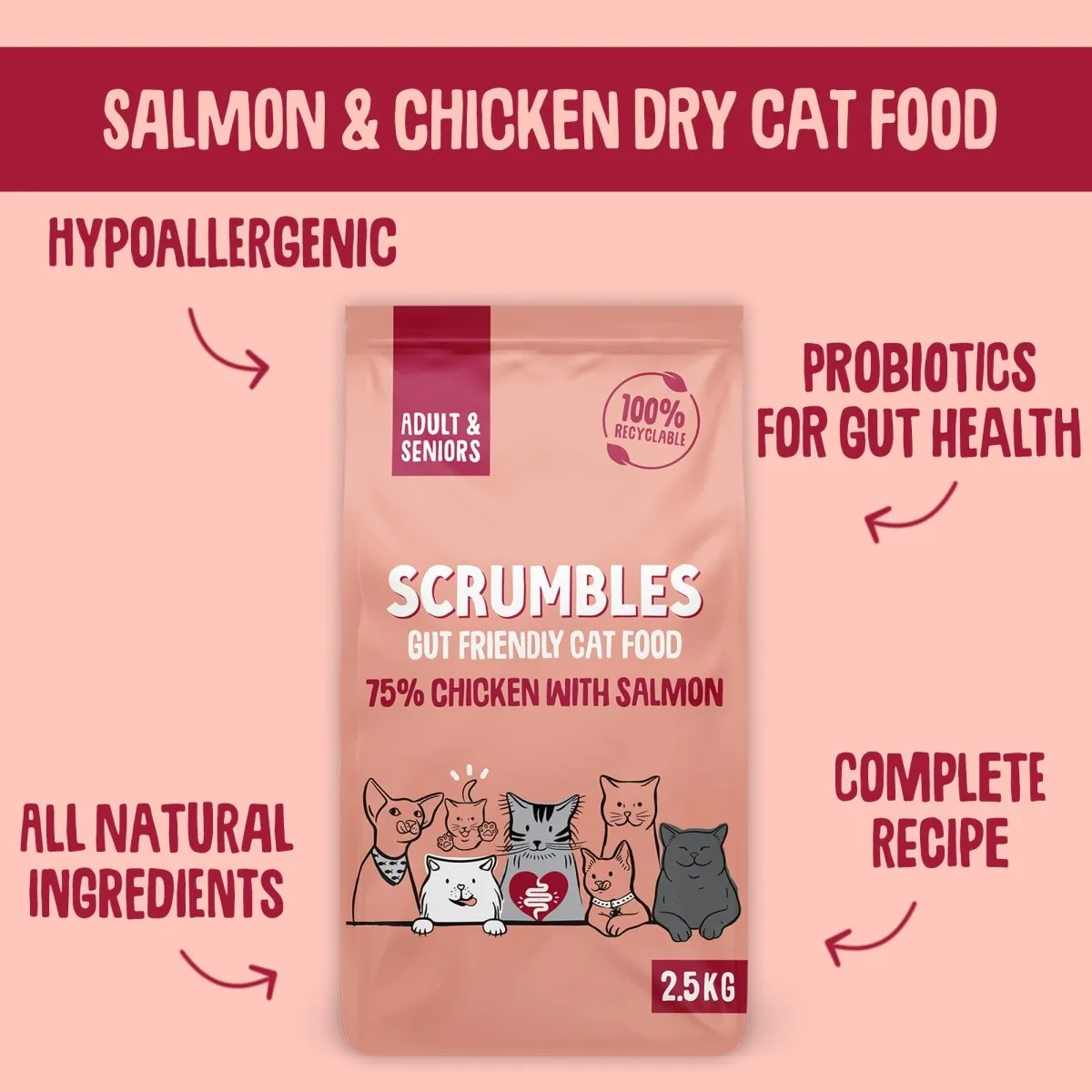 Chicken & Salmon Dry Cat Food