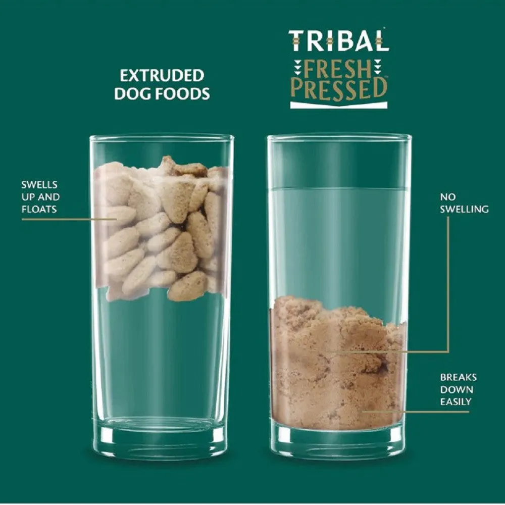 Cold Pressed Chicken Adult Dog Dry Food