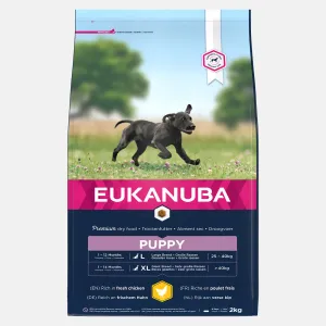 Eukanuba Large Breed Puppy Food