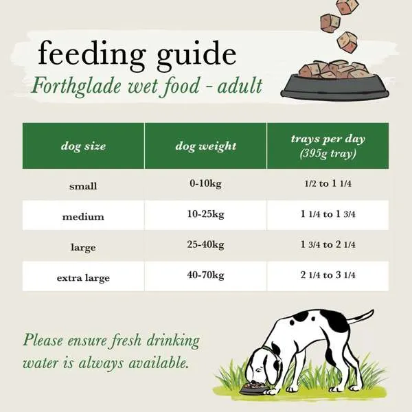 Forthglade Complete Meal Adult Turkey Sweet Potato & Veg Grain Free 18 x 395g