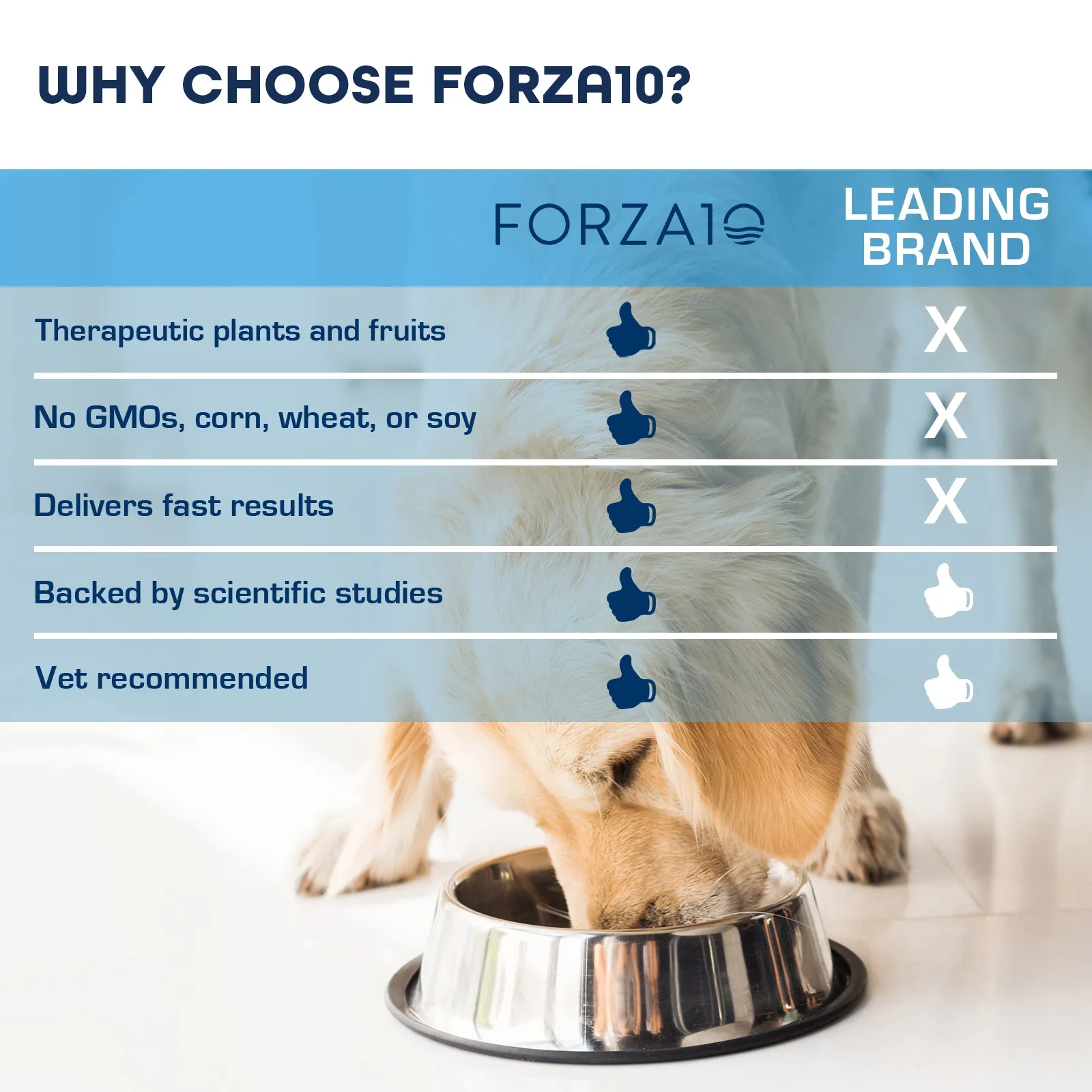 Forza10 Nutraceutic Sensitive Joint Plus Grain-Free Dry Dog Food