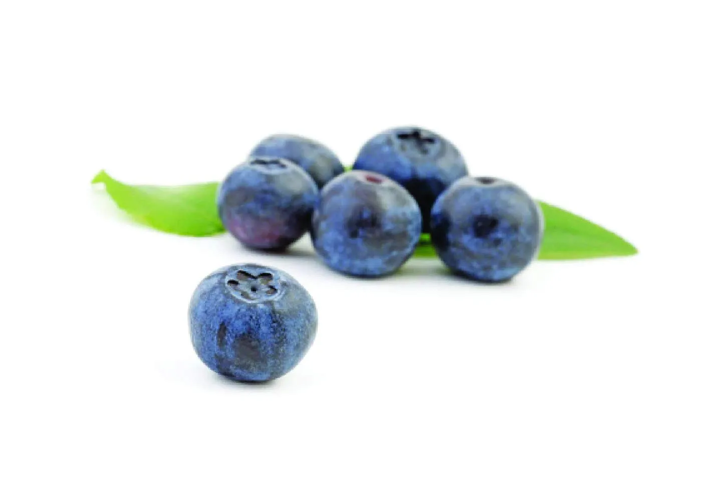 Fresh and Honest Foods 100% All Natural Freeze-Dried Blueberries 11.1 OZ #10 Can