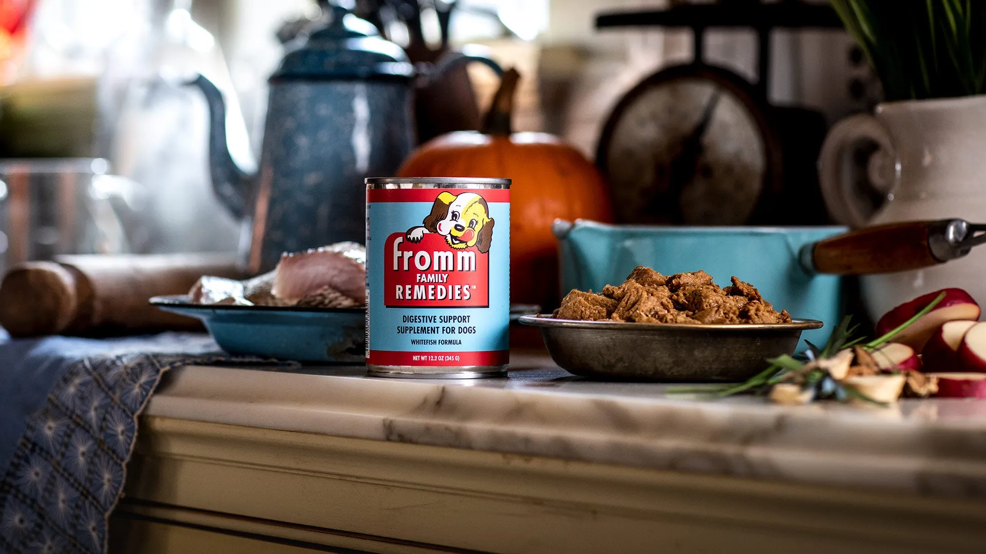 Fromm Remedies Whitefish Formula Canned Wet Dog Food