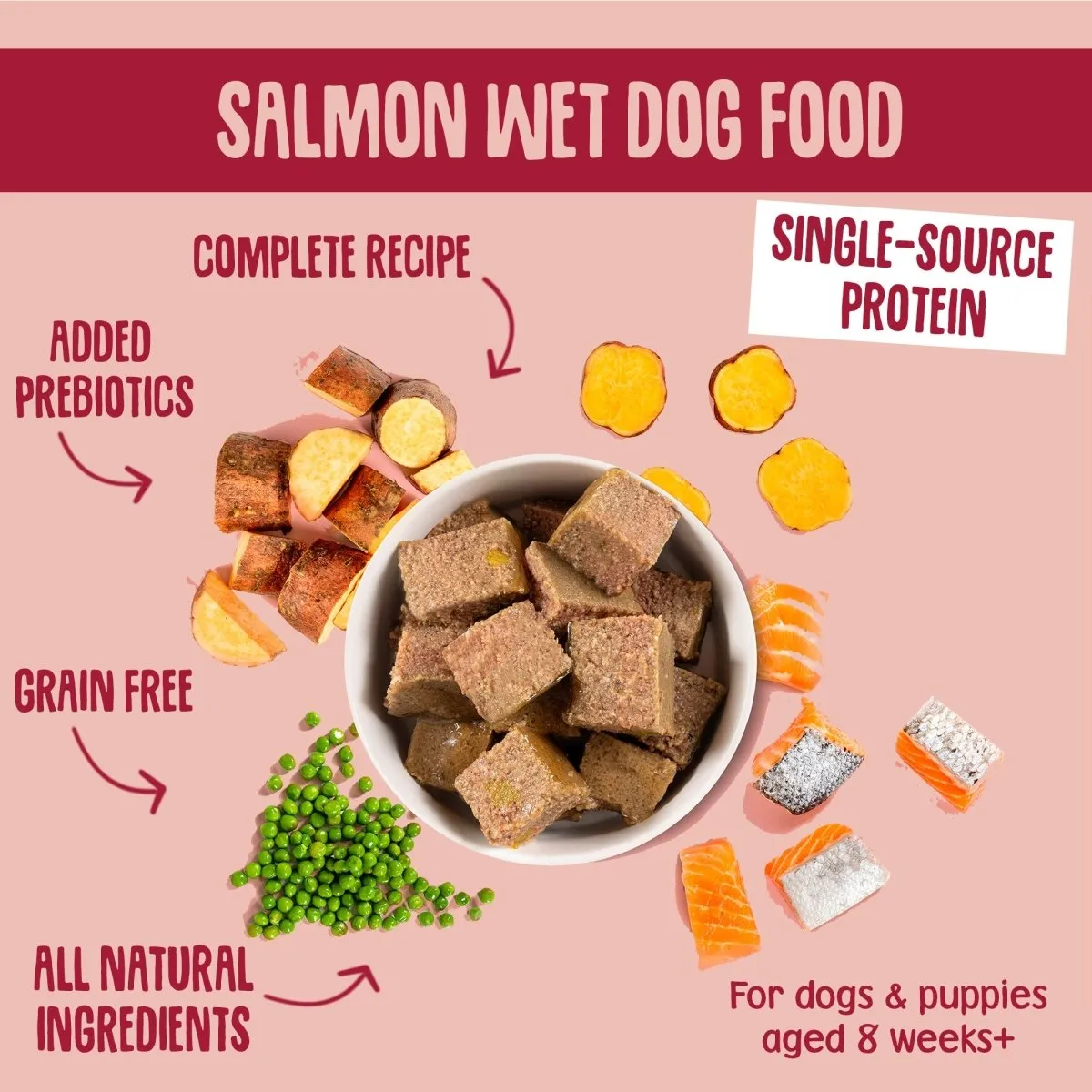 Grain Free Salmon Wet Dog Food