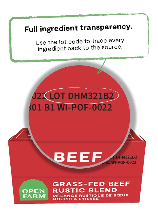 Grass-Fed Beef Rustic Blend Wet Cat Food