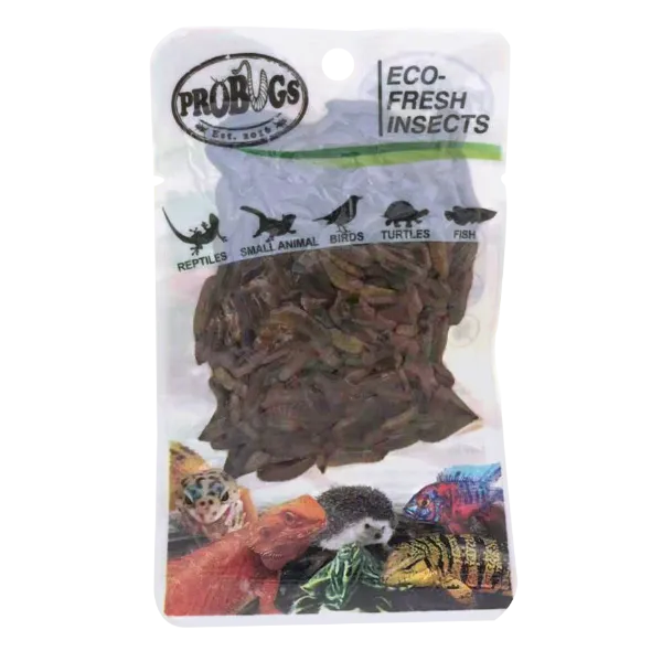 ProBugs Eco Fresh Black Soldier Fly Larvae 20g - 10 Packs