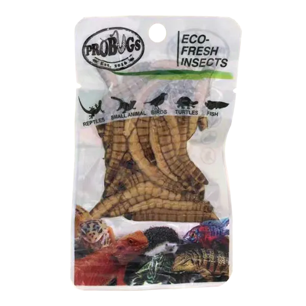 ProBugs Eco Fresh Superworm 20g - 10 Packs