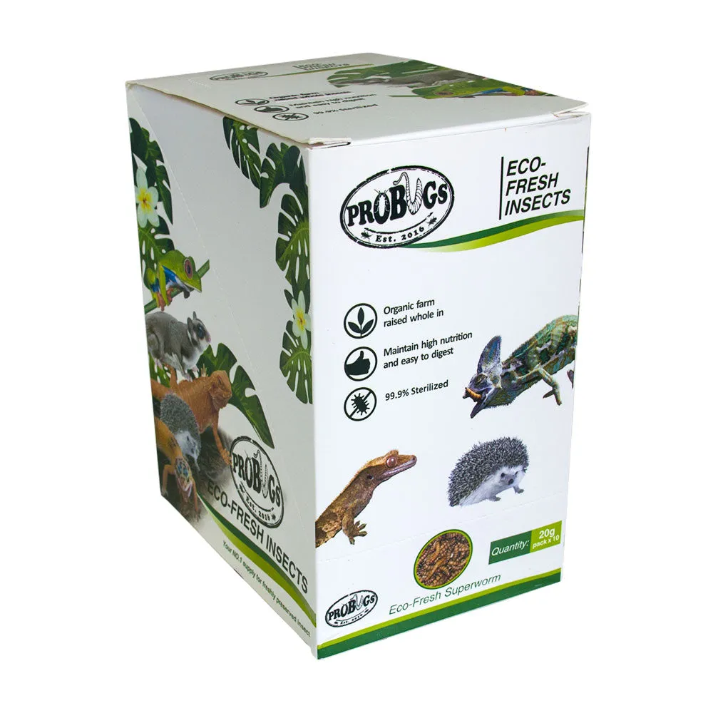 ProBugs Eco Fresh Superworm 20g - 10 Packs