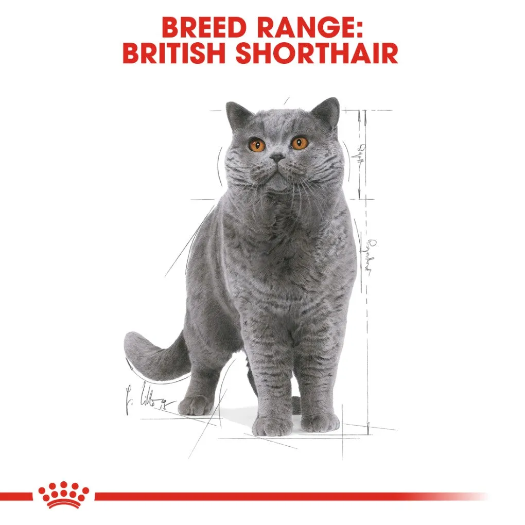 Royal Canin British Shorthair Gravy Pouches