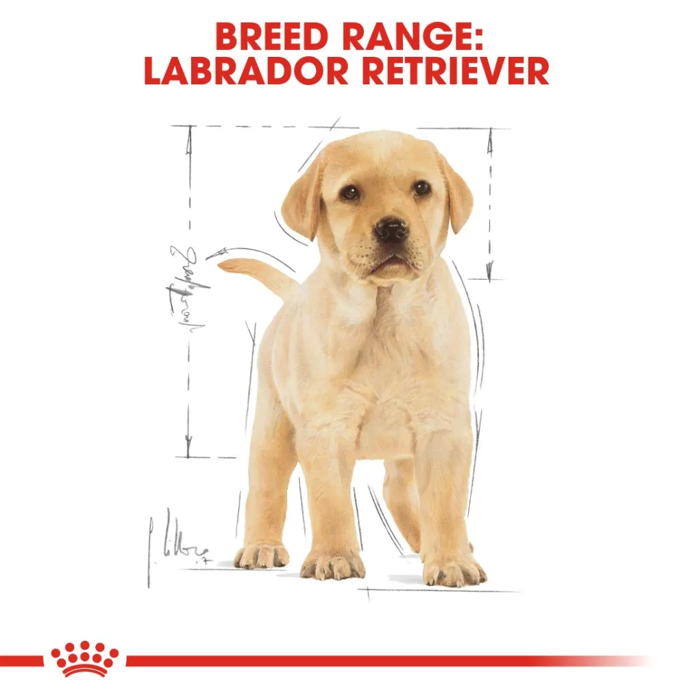 Royal Canin Labrador Puppy 3kg