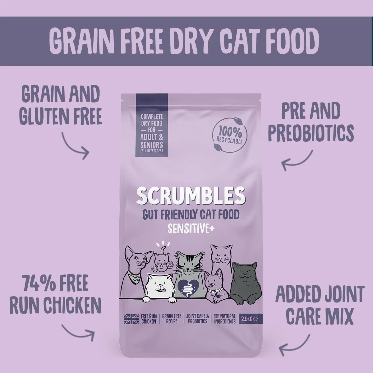 Sensitive  Dry Cat Food