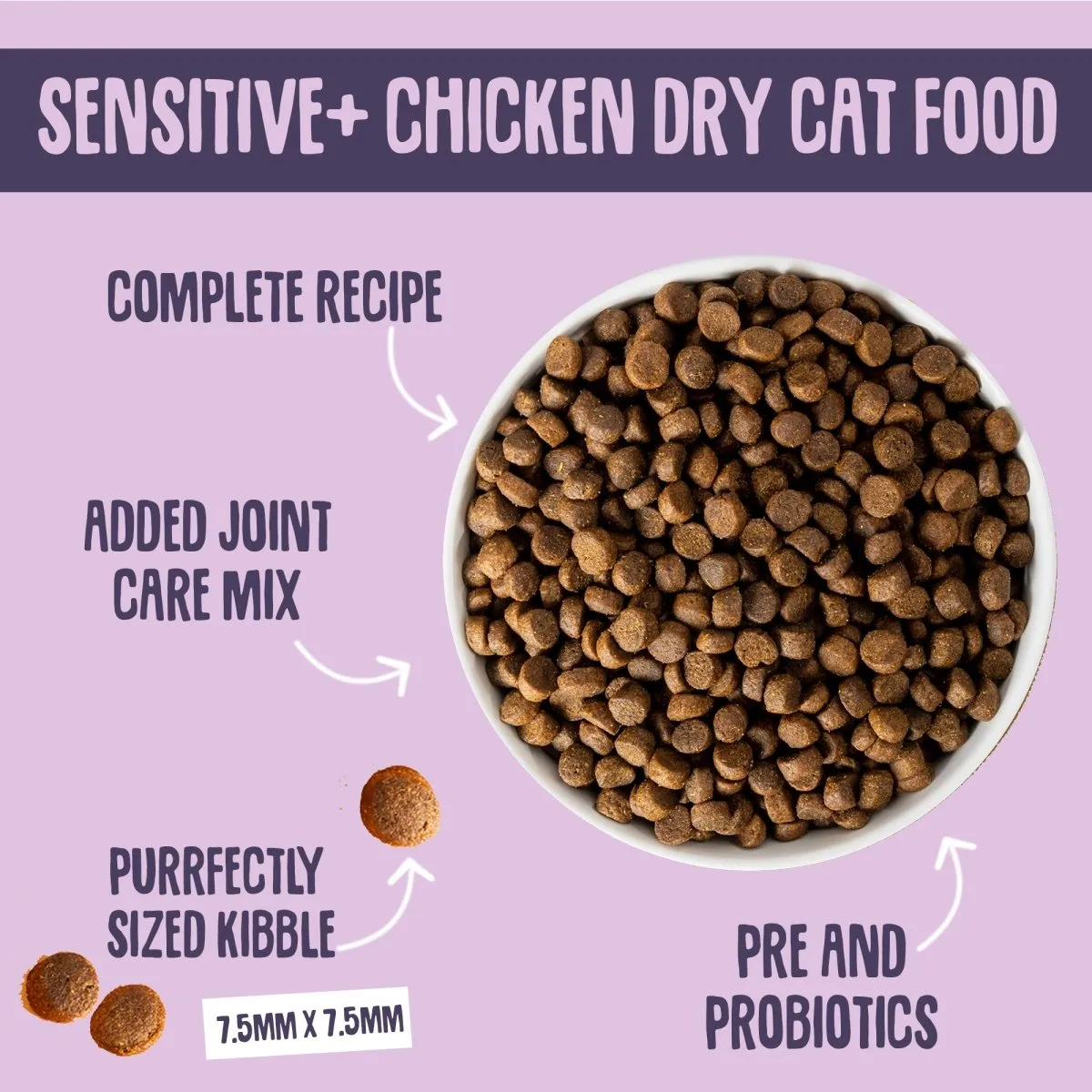 Sensitive  Dry Cat Food