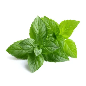 SPEARMINT FAR WEST NATIVE