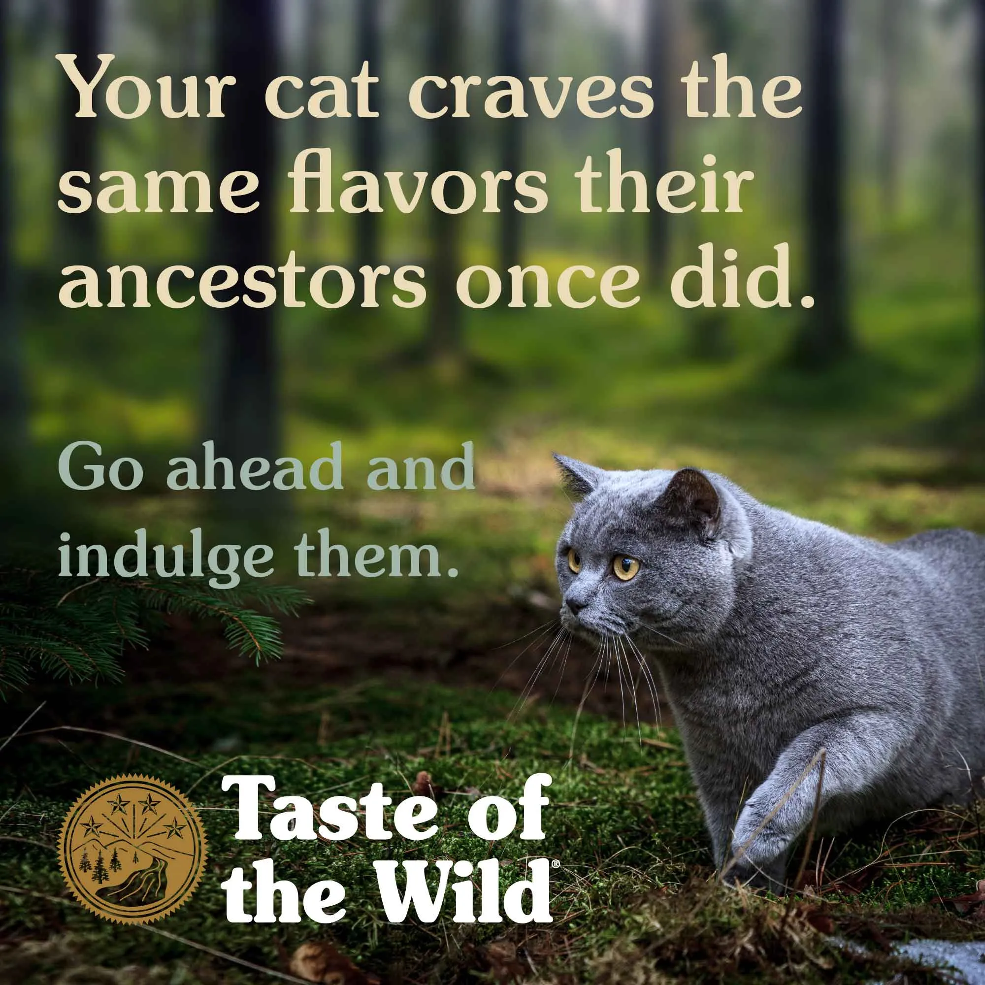 Taste of the Wild Prey Cat Dry Food