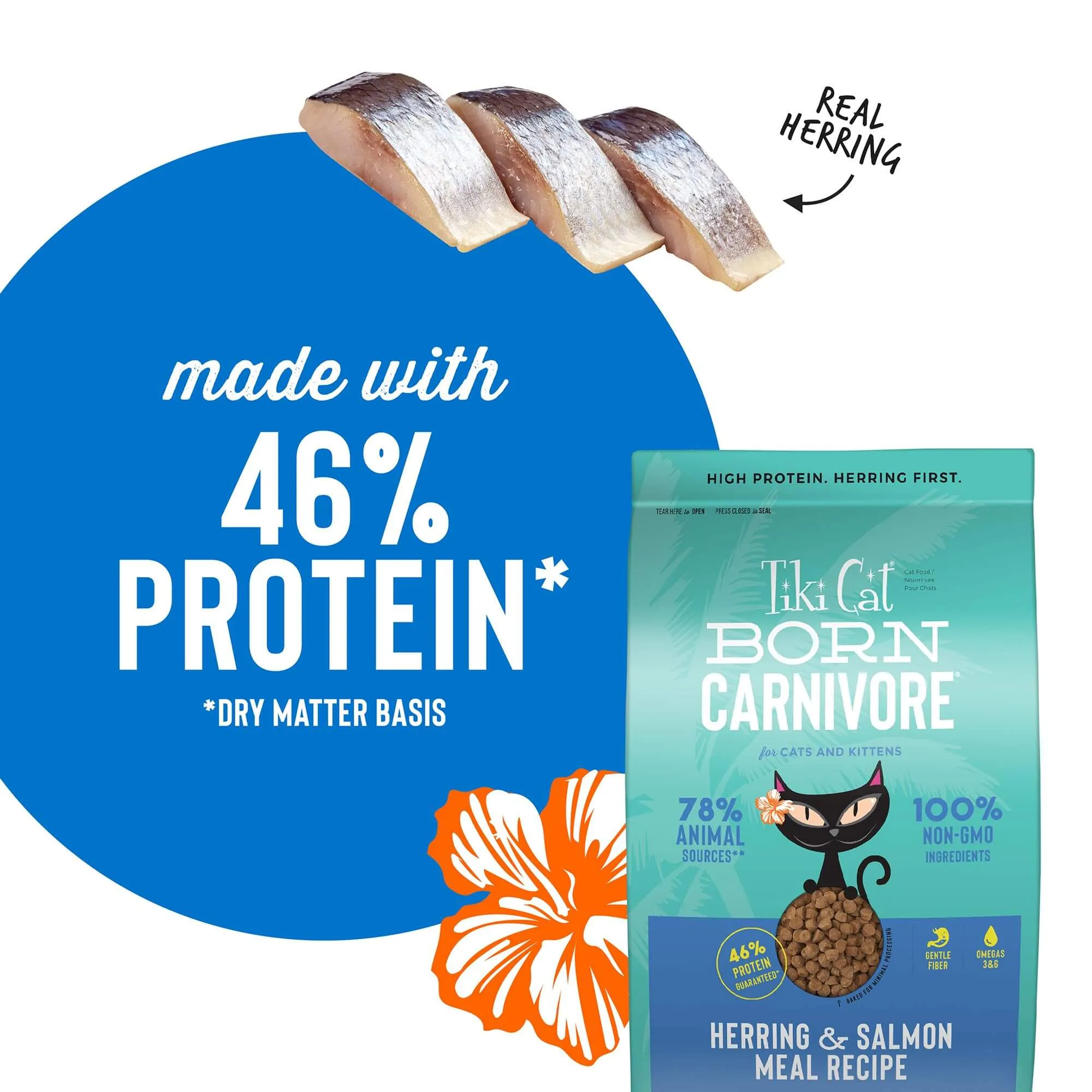 Tiki Cat Born Carnivore Dry Cat Food