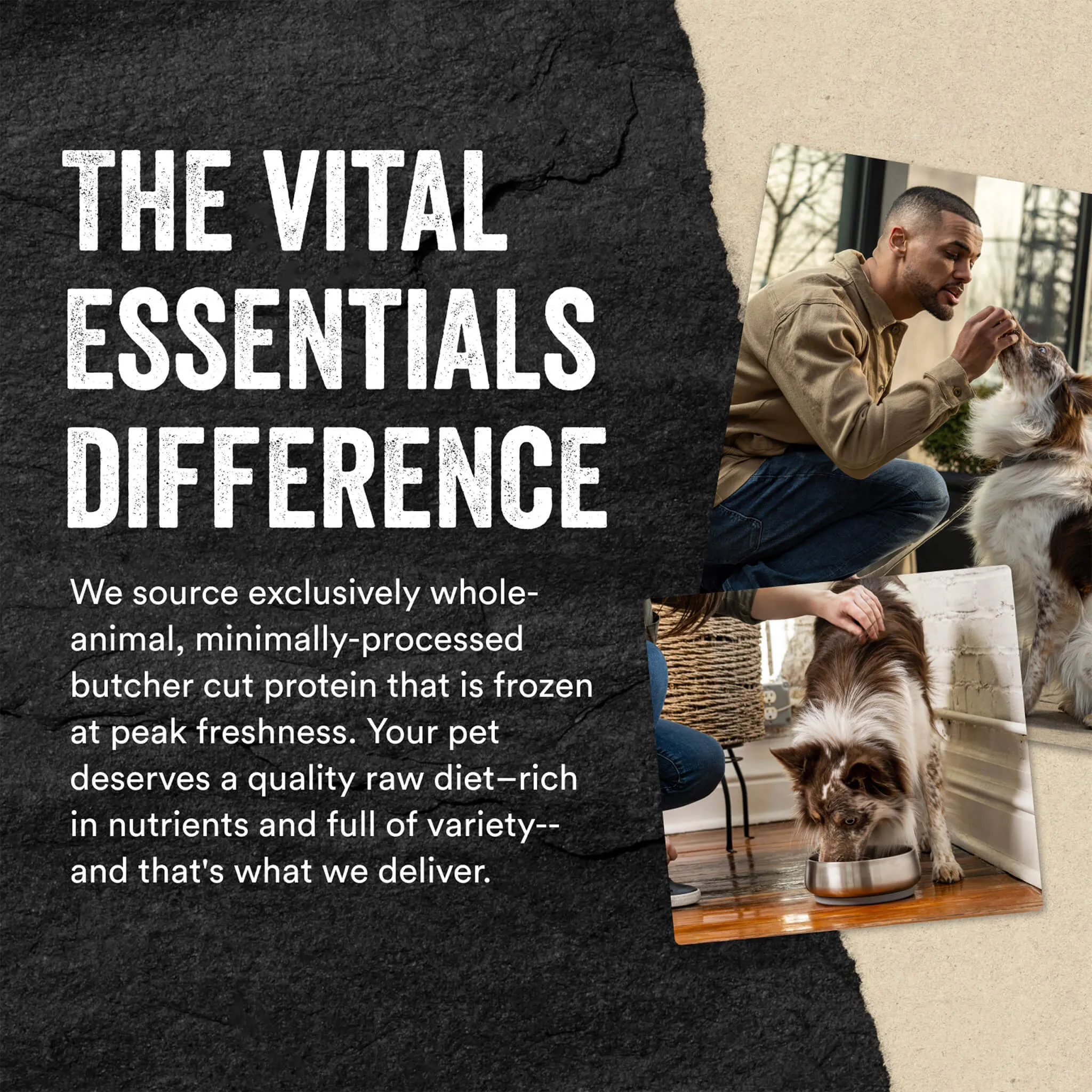 Vital Essentials Freeze Dried Patties for Dogs Beef