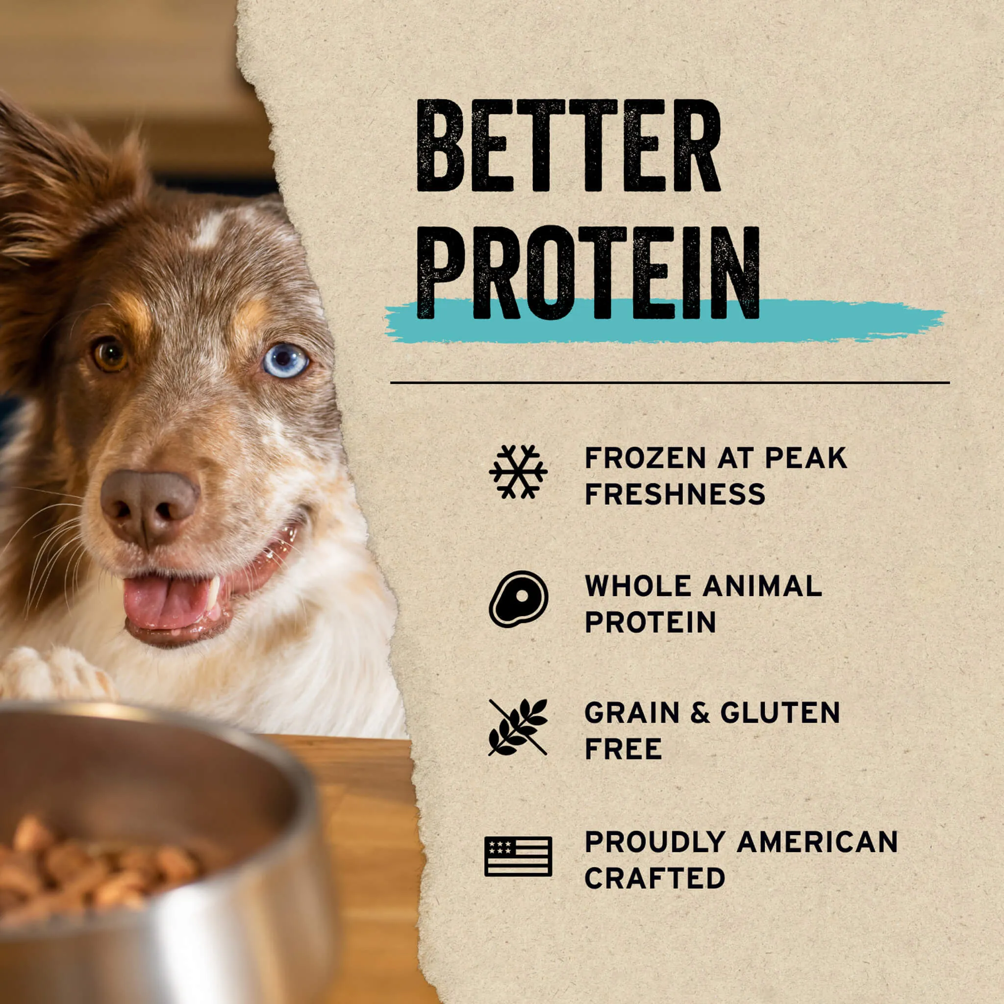 Vital Essentials Freeze Dried Patties for Dogs Beef