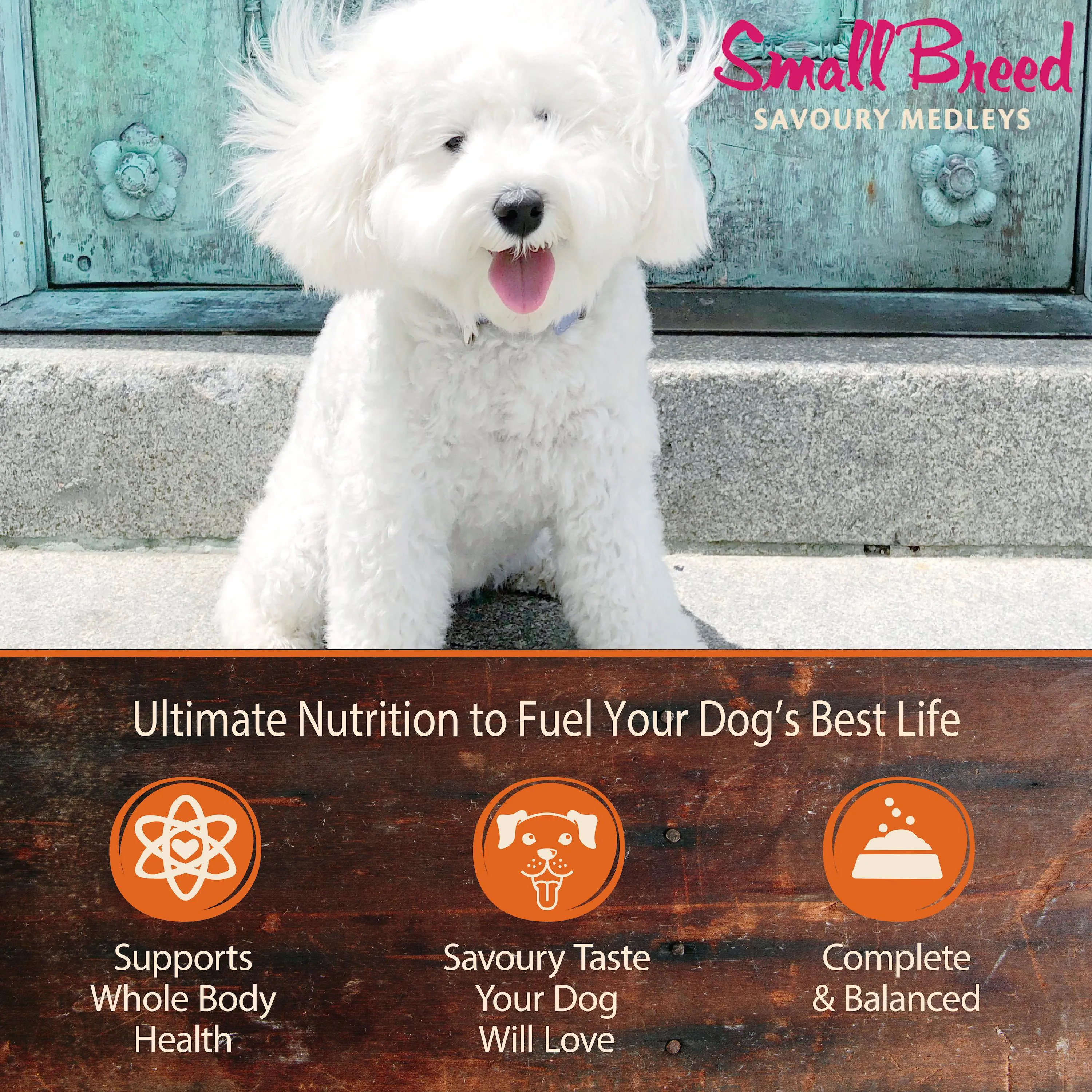 Wellness CORE Savoury Medleys Chicken, Beef, Green Beans and Red Peppers Wet Small Dog Food 85g