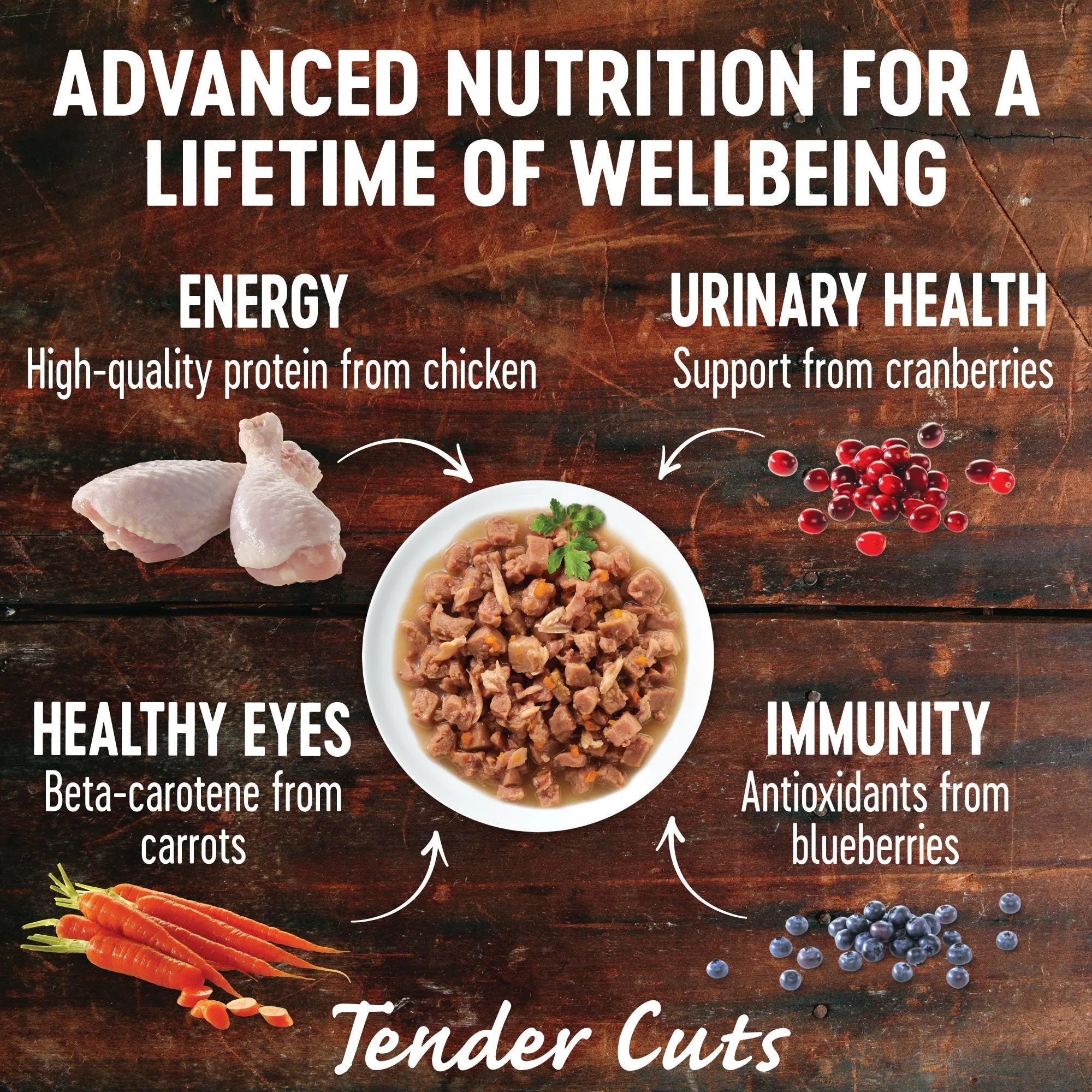 Wellness CORE Tender Cuts Chicken Selection Multipack Wet Cat Food 85g x 6